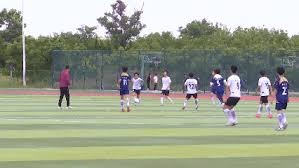 探索巴黎圣日耳曼的法甲霸主之路与欧冠梦想